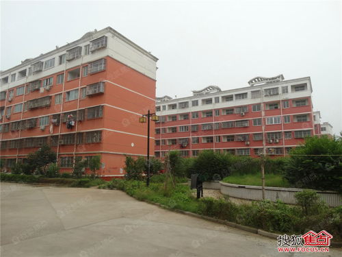希望小区图片 样板间 装修效果图 周口焦点网